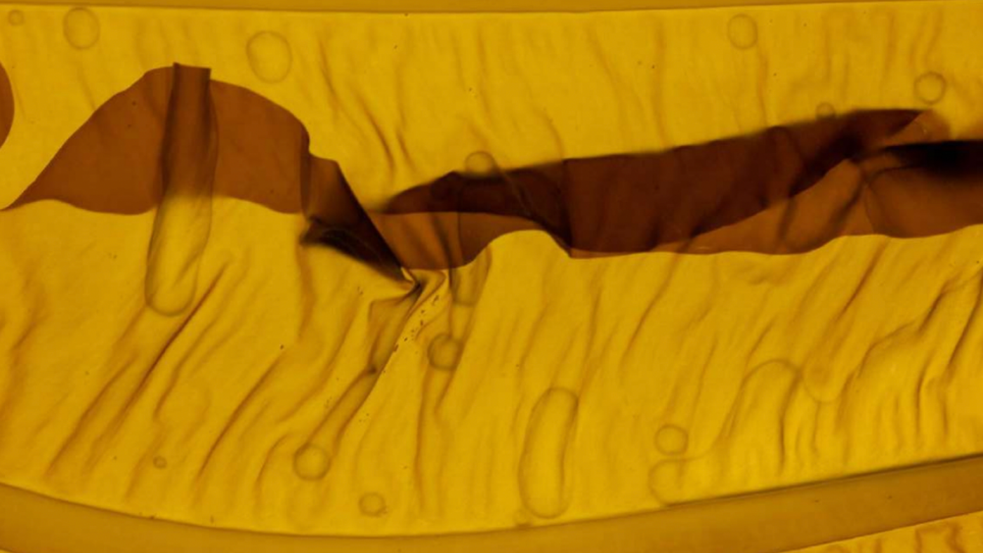 JUVENESSENCE™ - Latest Anti-Aging Skincare backed by Science