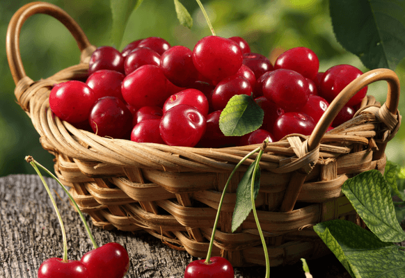 A bowl of cherries for the blog post Why Cherries Could be the Secret to Relieving Gout