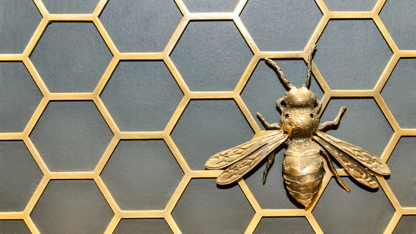 Why Royal Jelly is so good in skincare