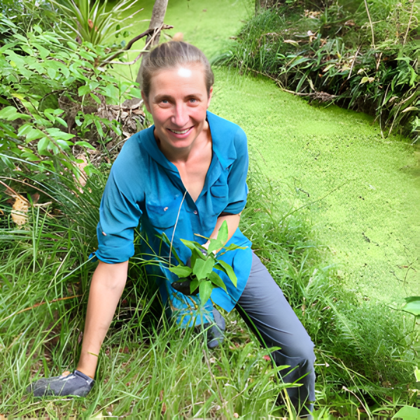 Person in blue shirt holding a plant in a green, natural setting