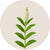 White flower with green leaves on a beige background
