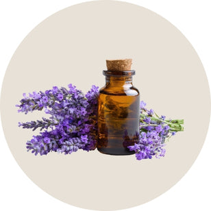 Essential oil bottle with lavender flowers on a beige background