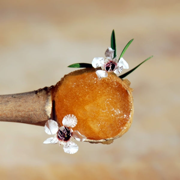 Manuka Honey of a wooden dipper