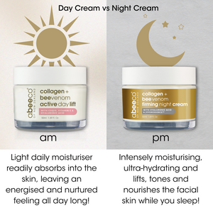 Day & Night Cream Duo